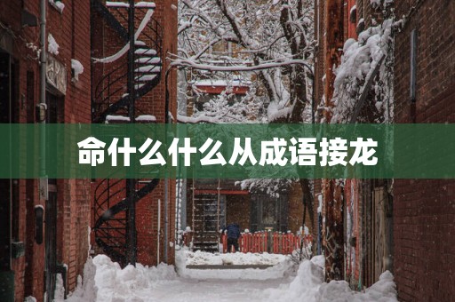 命什么什么从成语接龙