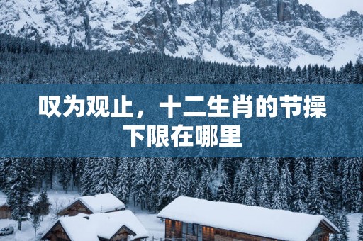 叹为观止，十二生肖的节操下限在哪里