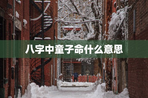 八字中童子命什么意思