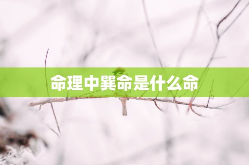 命理中巽命是什么命