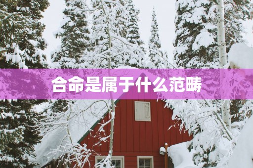 合命是属于什么范畴