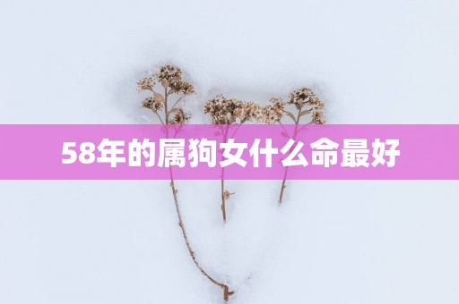 58年的属狗女什么命最好
