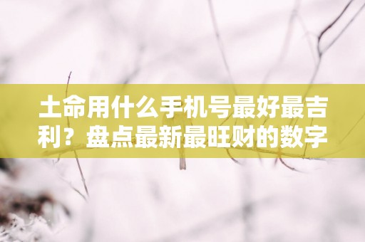 土命用什么手机号最好最吉利？盘点最新最旺财的数字磁场!