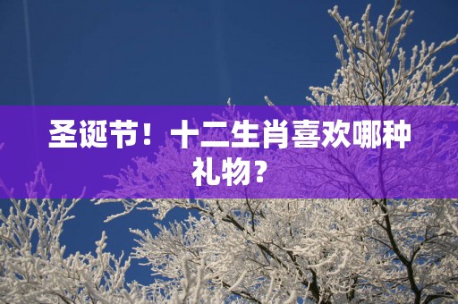 圣诞节！十二生肖喜欢哪种礼物？