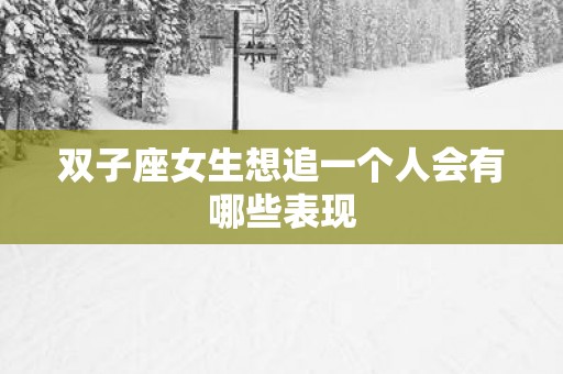 双子座女生想追一个人会有哪些表现