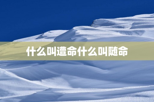 什么叫遭命什么叫随命