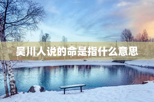 吴川人说的命是指什么意思