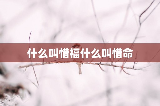 什么叫惜福什么叫惜命