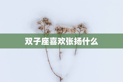 双子座喜欢张扬什么