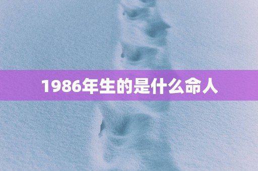 1986年生的是什么命人