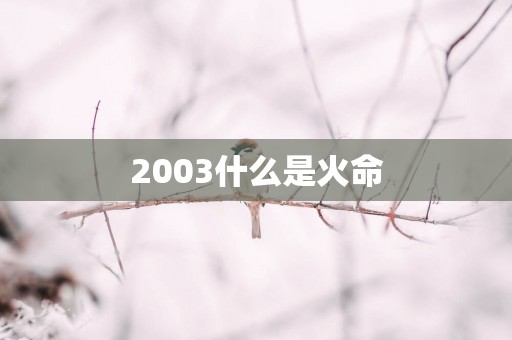 2003什么是火命