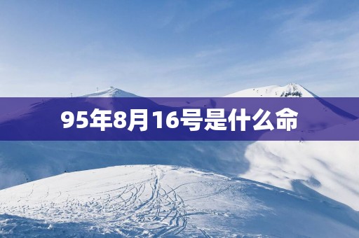 95年8月16号是什么命