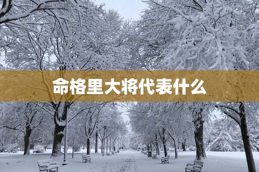 命格里大将代表什么