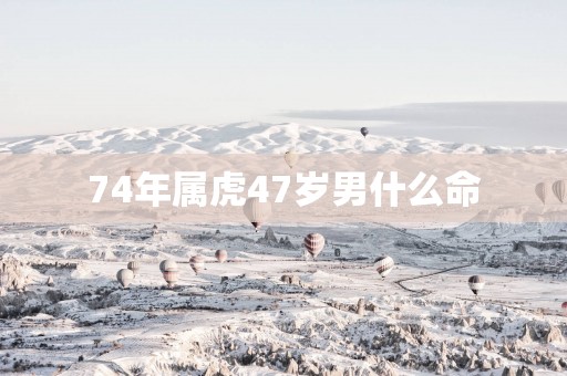 74年属虎47岁男什么命