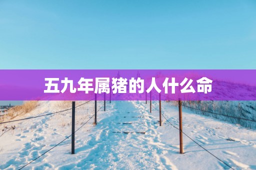 五九年属猪的人什么命