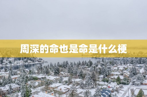 周深的命也是命是什么梗