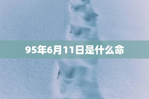 95年6月11日是什么命