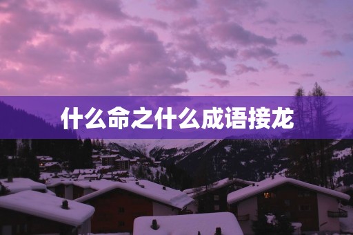 什么命之什么成语接龙
