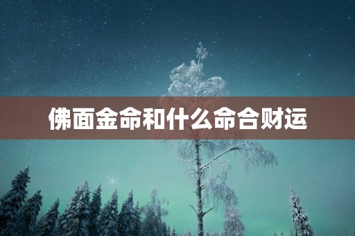 佛面金命和什么命合财运