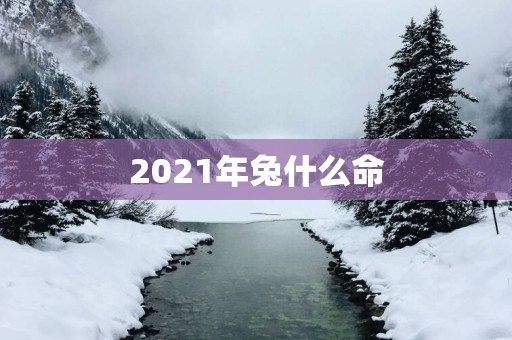 2025年兔什么命