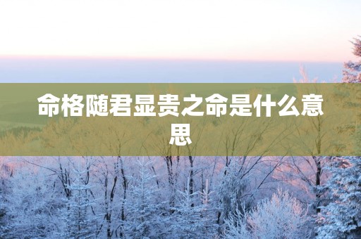 命格随君显贵之命是什么意思
