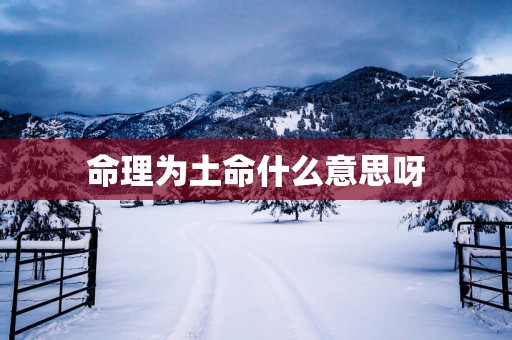 命理为土命什么意思呀