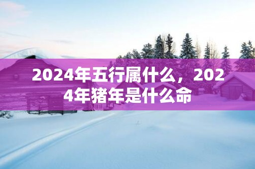 2025年五行属什么，2025年猪年是什么命