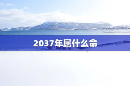 2037年属什么命