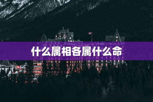 什么属相各属什么命