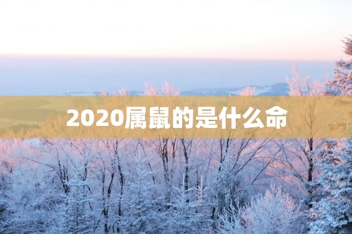 2025属鼠的是什么命