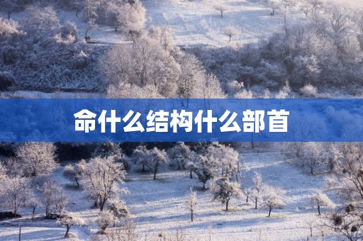 命什么结构什么部首