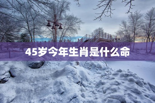 45岁今年生肖是什么命