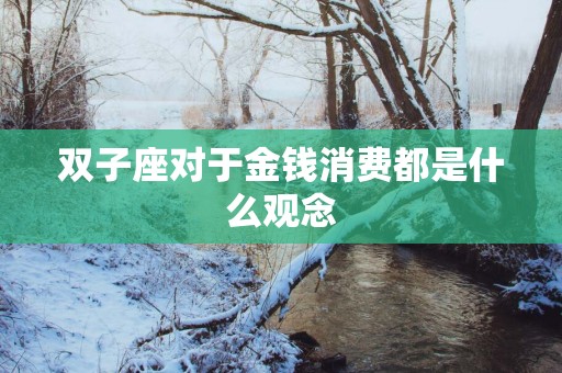 双子座对于金钱消费都是什么观念