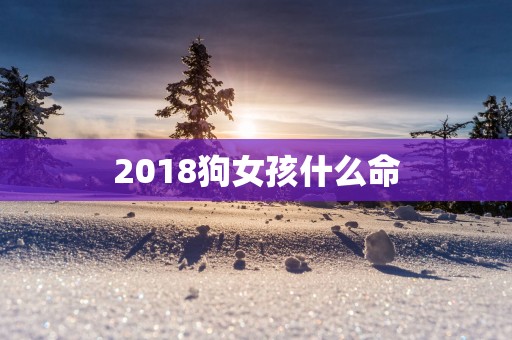2018狗女孩什么命