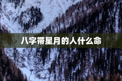 八字带星月的人什么命