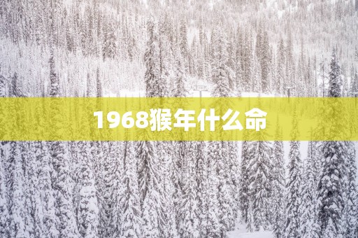 1968猴年什么命