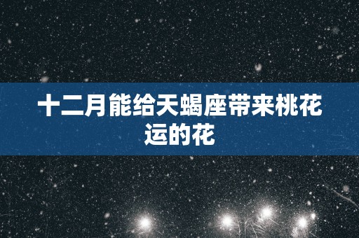 十二月能给天蝎座带来桃花运的花
