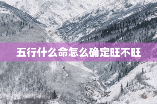 五行什么命怎么确定旺不旺