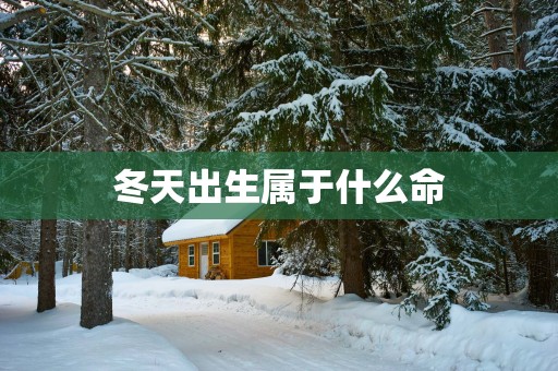 冬天出生属于什么命