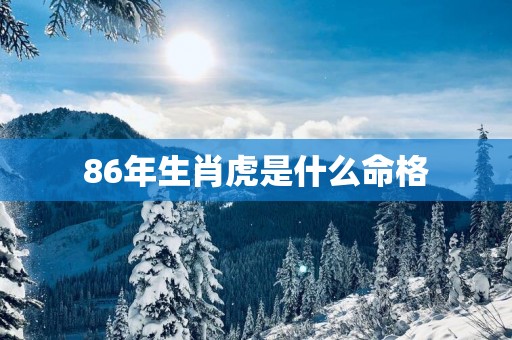 86年生肖虎是什么命格