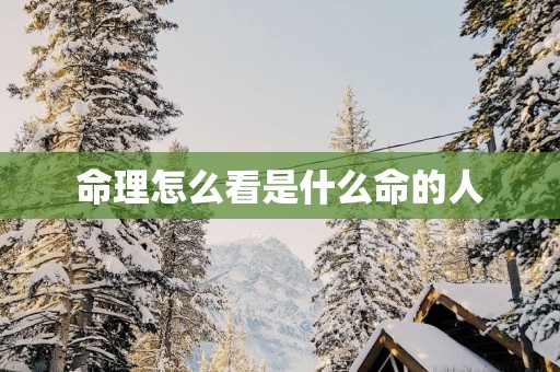 命理怎么看是什么命的人