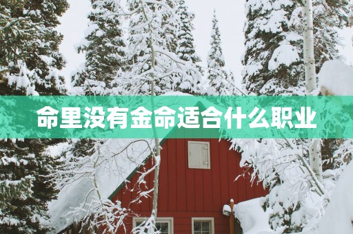 命里没有金命适合什么职业