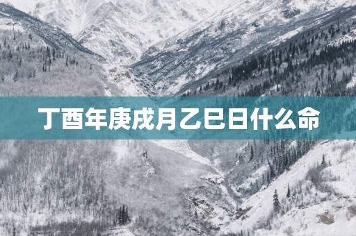 丁酉年庚戌月乙巳日什么命