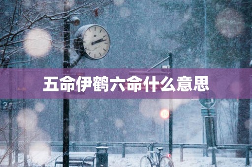五命伊鹤六命什么意思