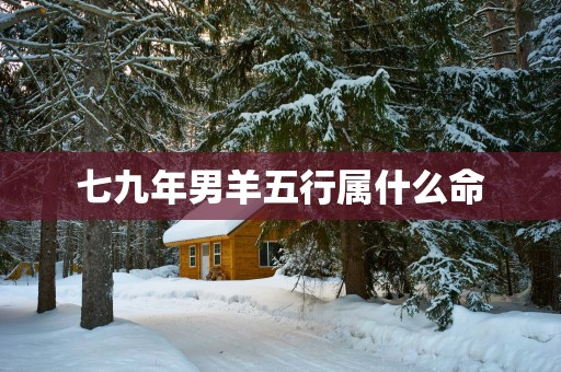 七九年男羊五行属什么命