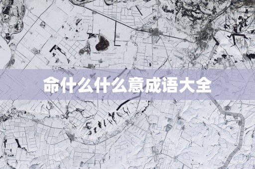 命什么什么意成语大全