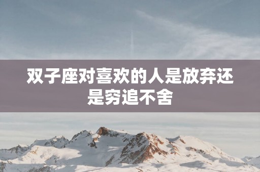 双子座对喜欢的人是放弃还是穷追不舍