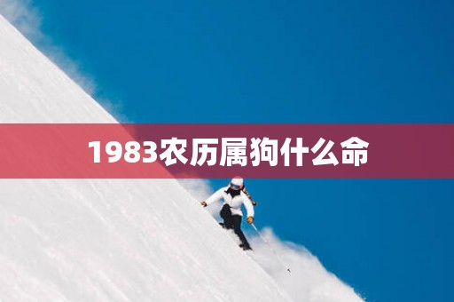 1983农历属狗什么命