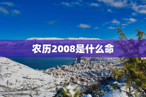 农历2008是什么命