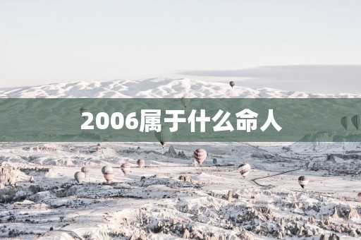 2006属于什么命人